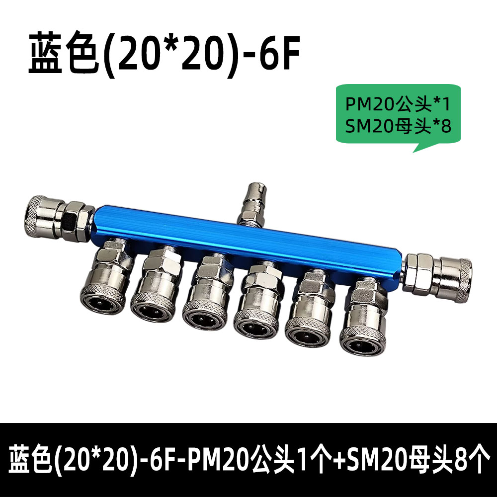 Heavy-Duty 6-Port Aluminum Manifold System - Complete with 1PM20 Input & 8SM20 Output Connections