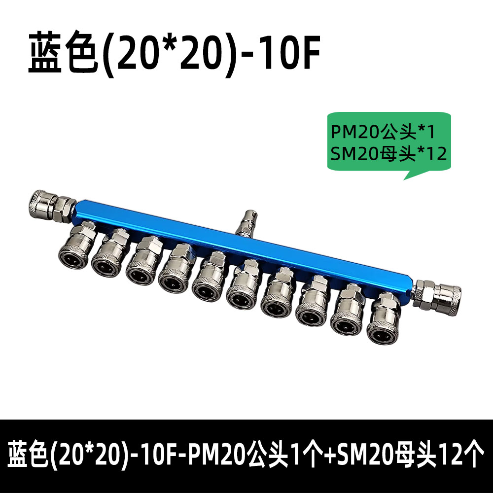 High-Capacity 10-Node Aluminum Manifold Package: 1PM20 Main + 12SM20 Branch Fittings (Pneumatic Control)